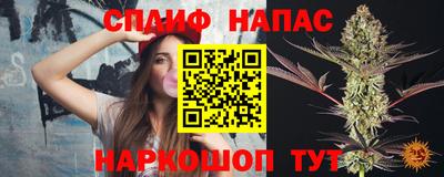 стаф Ставрополь