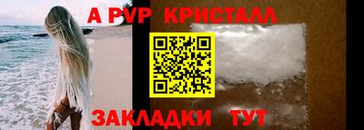 стаф Ставрополь