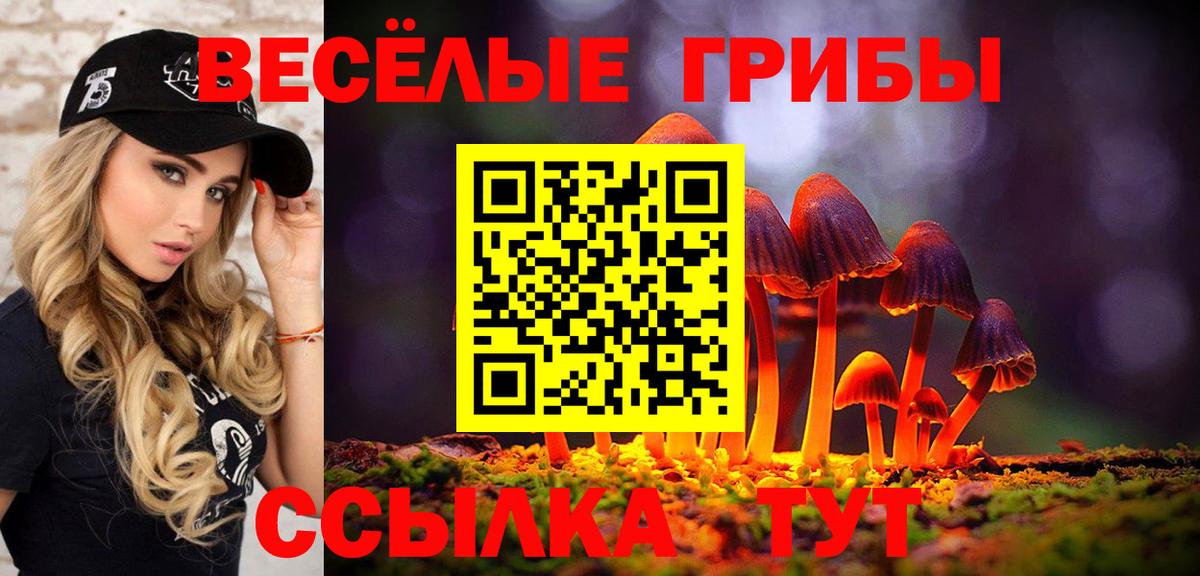 Партизанск  Галлюциногенные грибы MAGIC MUSHROOMS  Галлюциногенные грибы GOLDEN TEACHER  Вход с VPN 